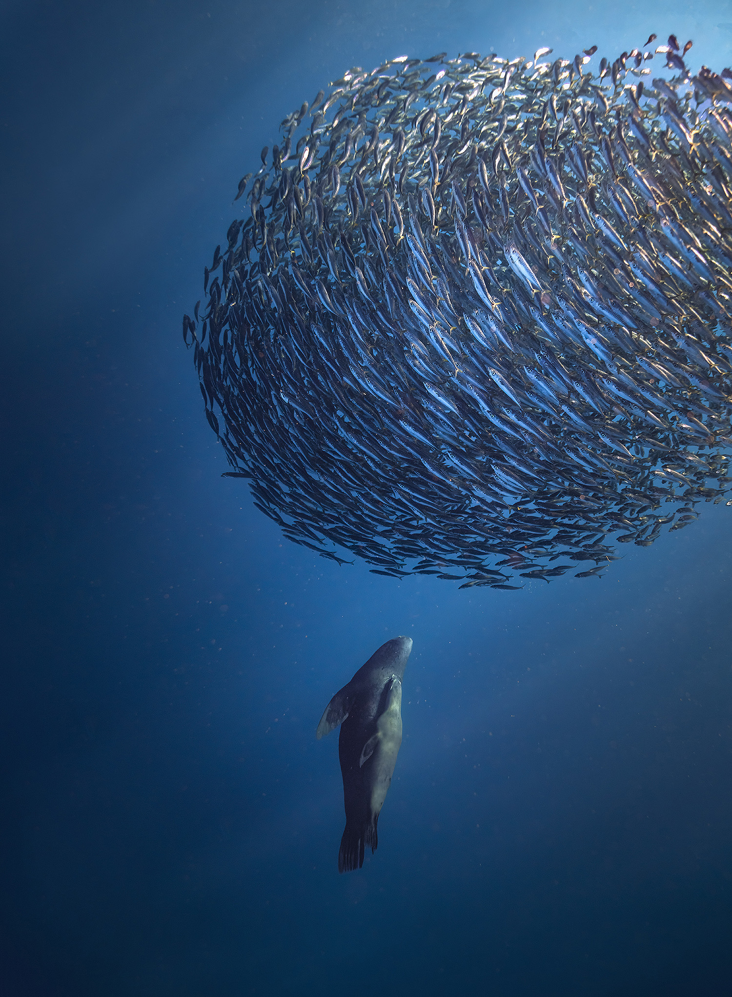 foto:gabriela gonzalez vazquez  - lo hecho en México