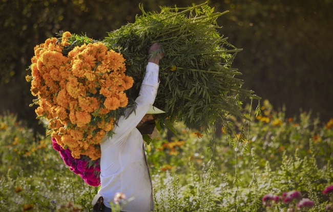 foto:Adriana Hernández Santos  - lo hecho en México