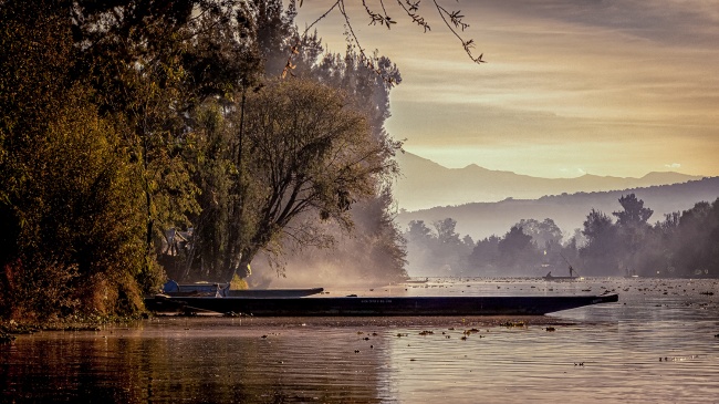 foto:GIOVANNA PILI DOMINGUEZ  - lo hecho en México