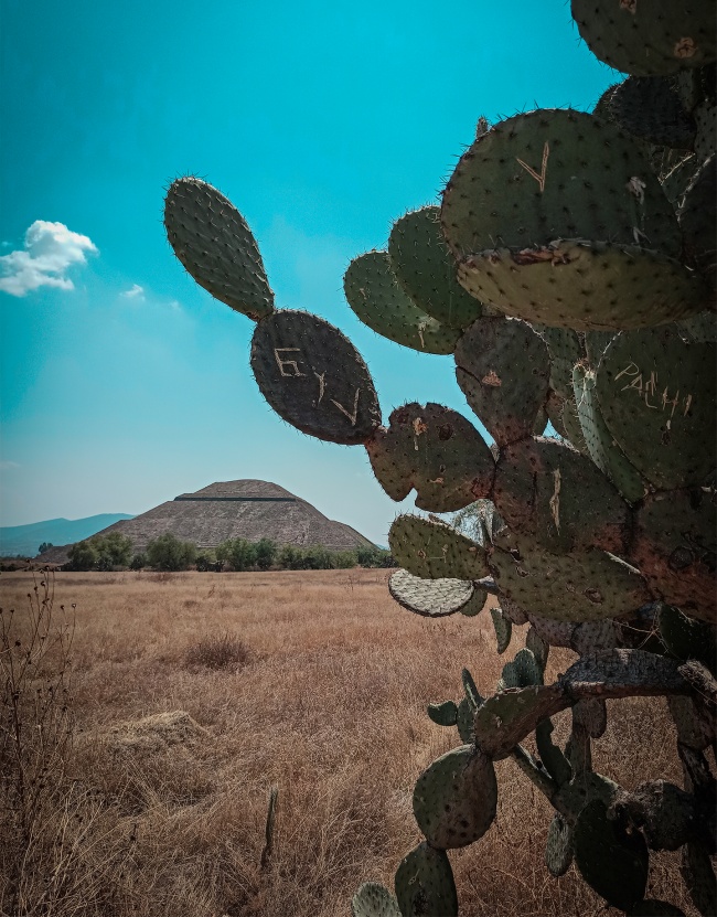 foto:Janetska Guadalupe Ramos Arciniega  - lo hecho en México