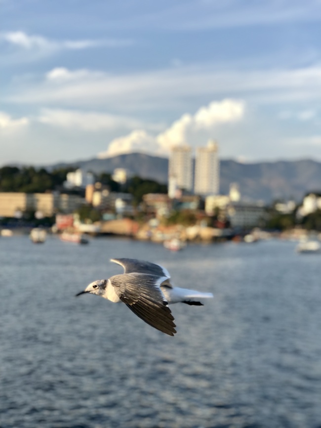 foto:Jose Alan barragan montes  - lo hecho en México