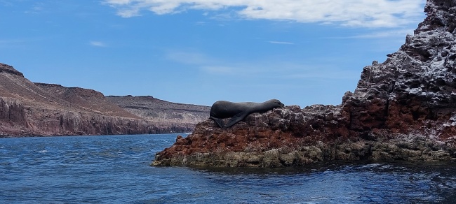 foto:Jesus Serralde  - lo hecho en México