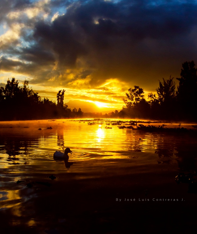 foto:José Luis Contreras Jimenez  - lo hecho en México