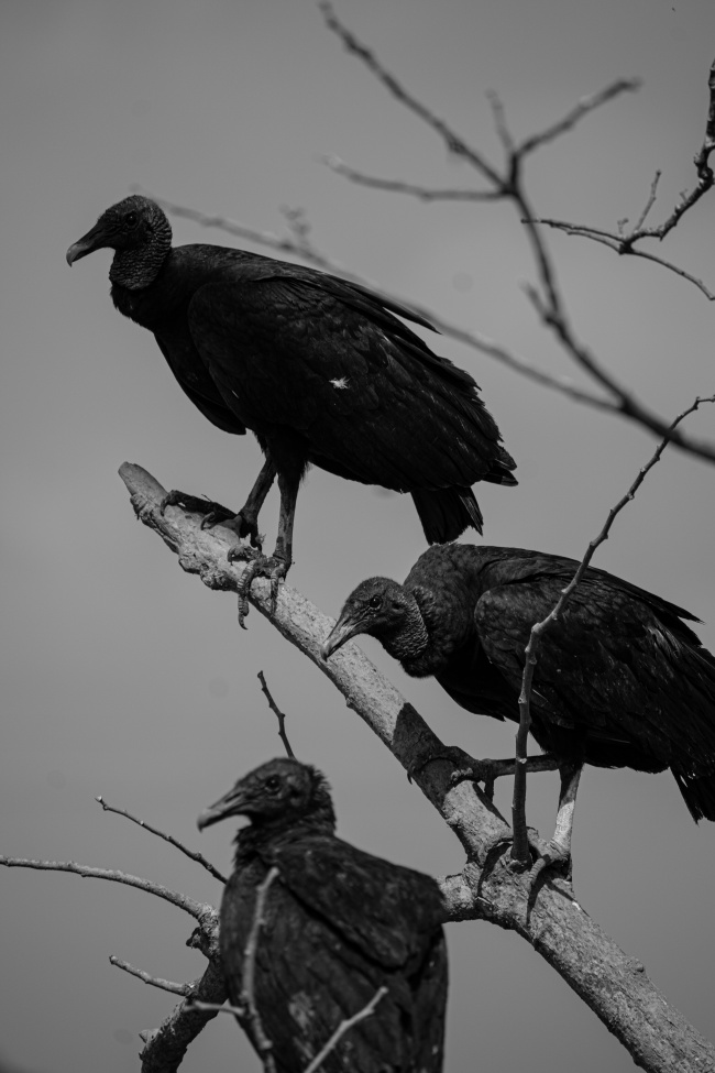 foto:Oscar Eduardo Pérez Jácome   - lo hecho en México