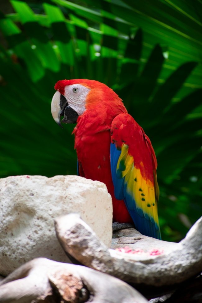 foto:Otto David Ramírez Villa  - lo hecho en México