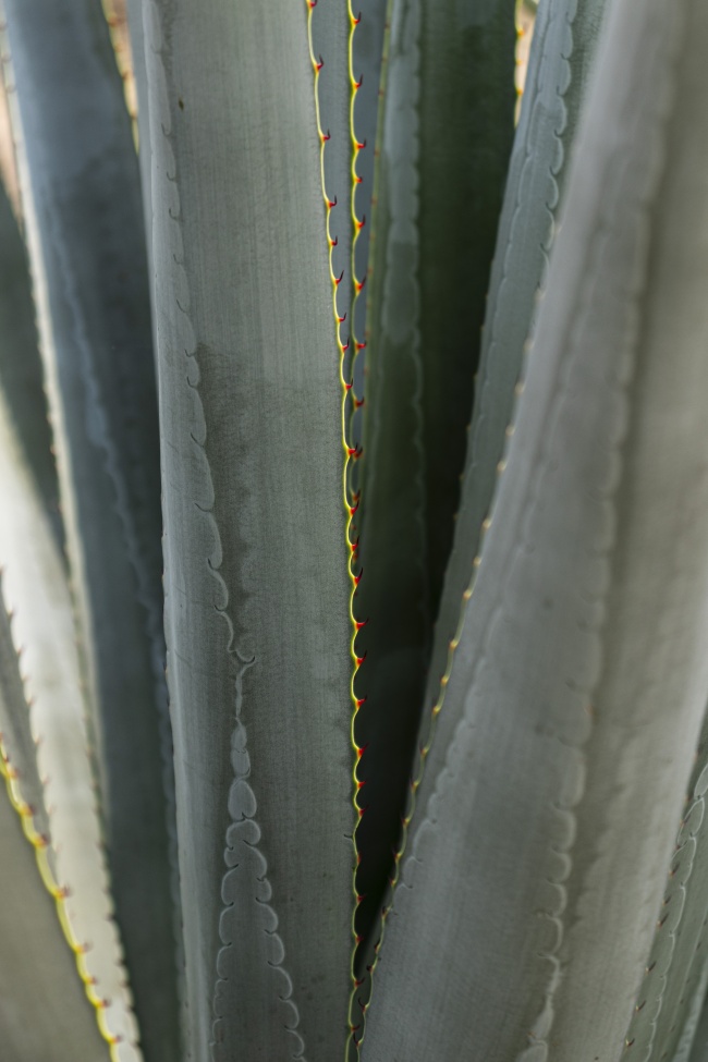 foto:Lizbeth Bojorges Barba  - lo hecho en México