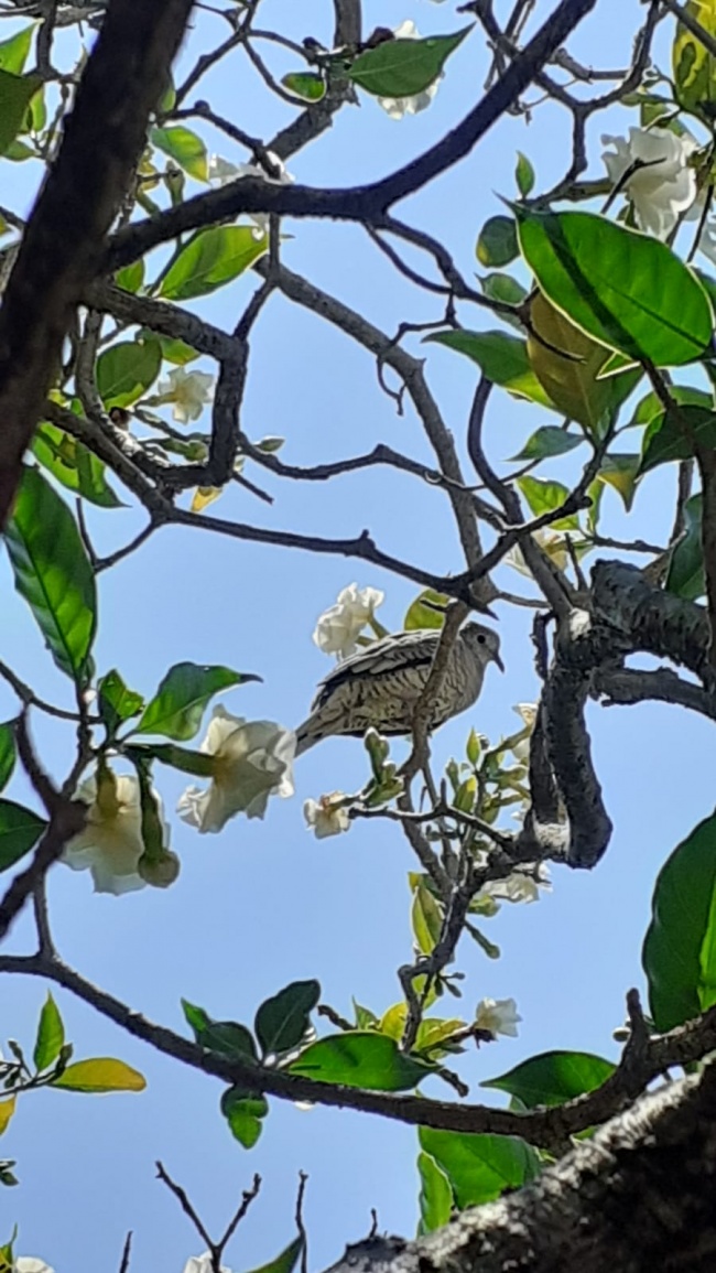 foto:Diana Alejandra Sosa Conde  - lo hecho en México