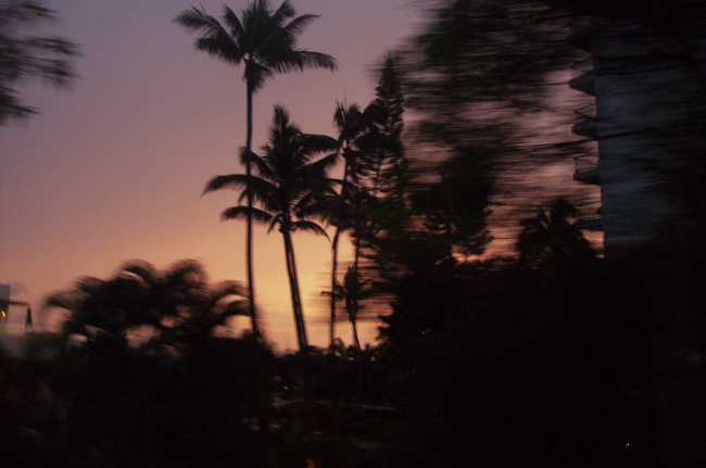 foto:Karina Arellano  - lo hecho en México