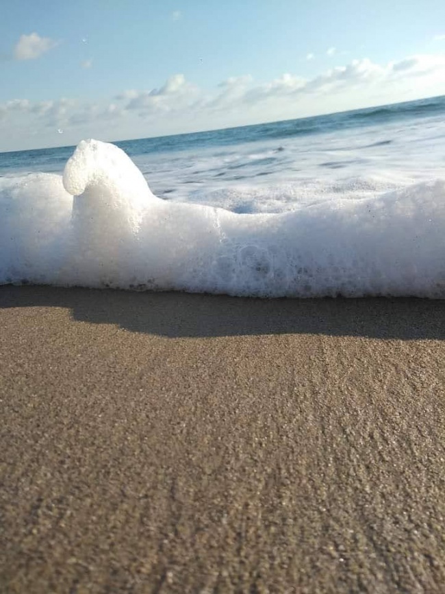 foto:Padilla Hernández Ximena   - lo hecho en México