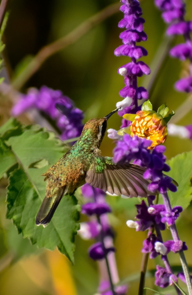 foto:Ana Paula Cruz Flores  - lo hecho en México