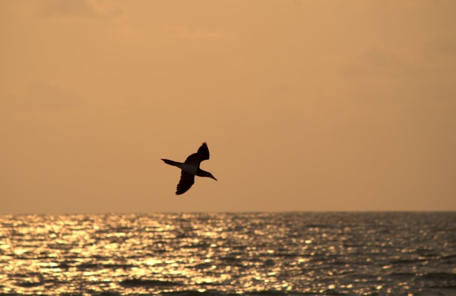 foto:Metztli Carmina Herrera Reyes  - lo hecho en México