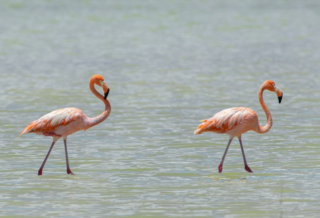 foto:Hilda María Guerrero Casillas   - lo hecho en México