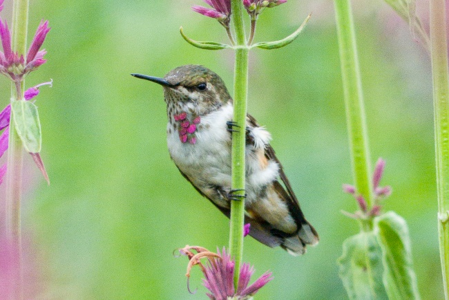 foto:Arafat Sendic López Juárez   - lo hecho en México