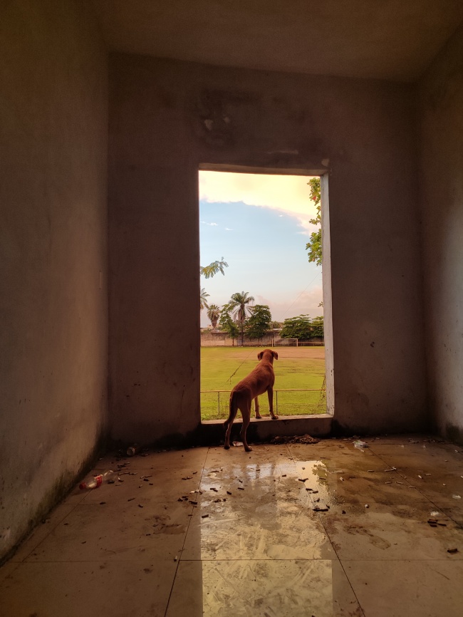 foto:Juan Carlos De Paz Chavez  - lo hecho en México