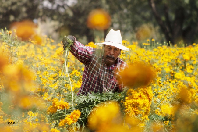 foto:Magdalena Gancedo del Rio  - lo hecho en México