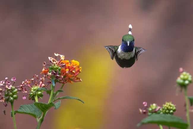 foto:David García Camacho  - lo hecho en México