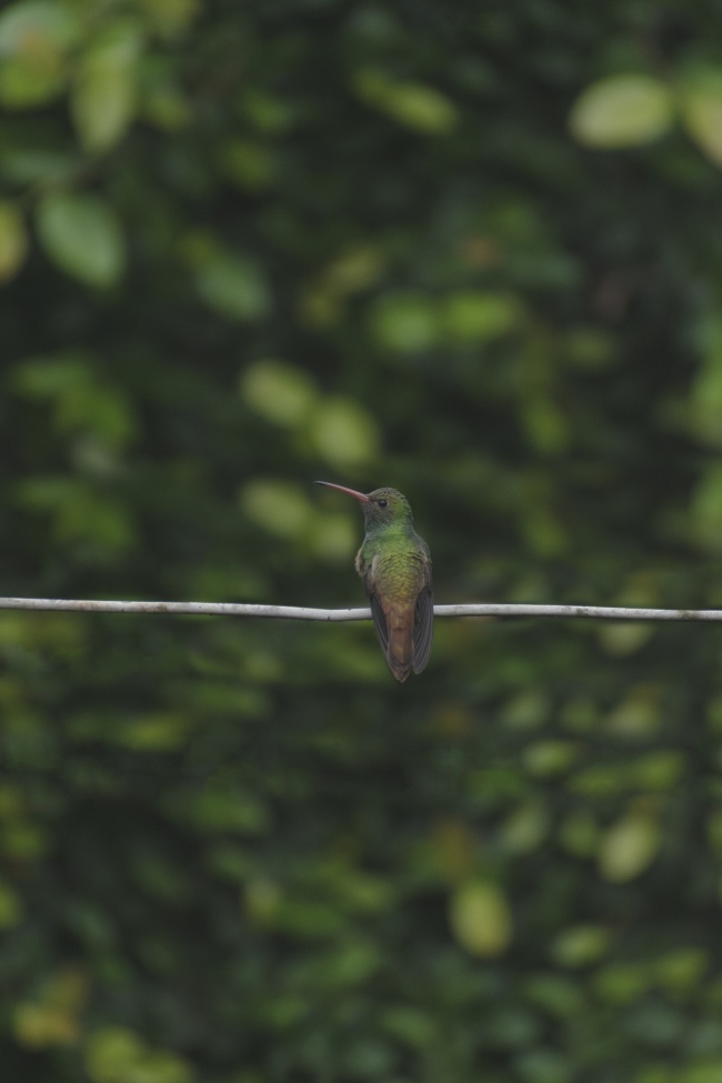 foto:Martin De La Rosa Xocua  - lo hecho en México