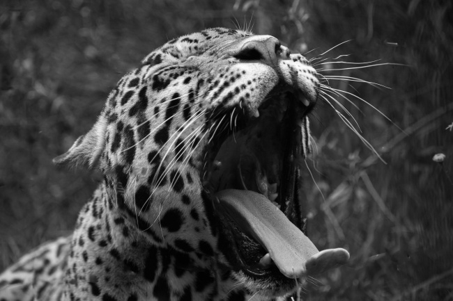 foto:Jenine Urdiales  - lo hecho en México