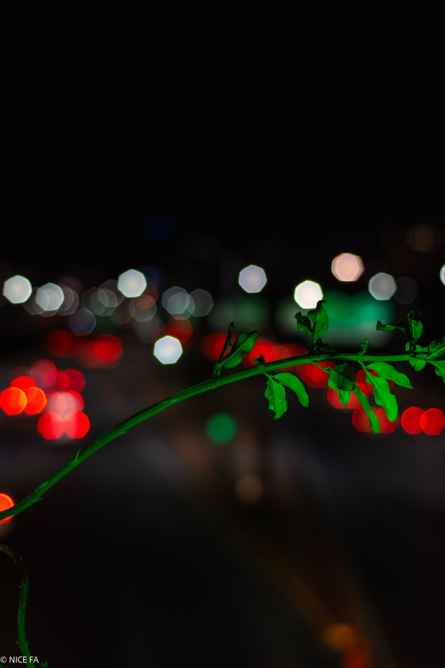 foto:Norith Berenice Fuentes Aguirre  - lo hecho en México