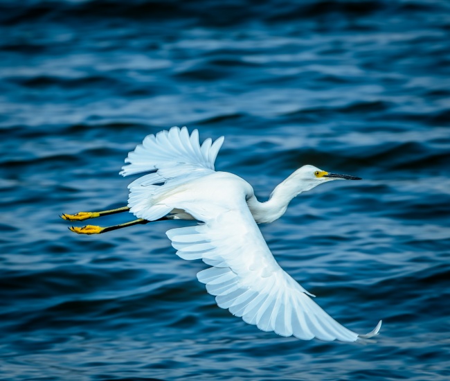 foto:EDUARDO DOMINGUEZ ZAMUDIO  - lo hecho en México