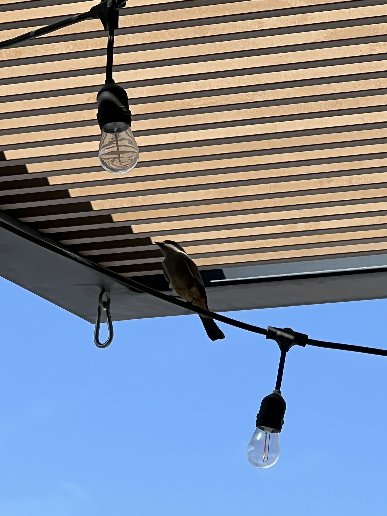 foto:Berenice Márquez Alonso   - lo hecho en México