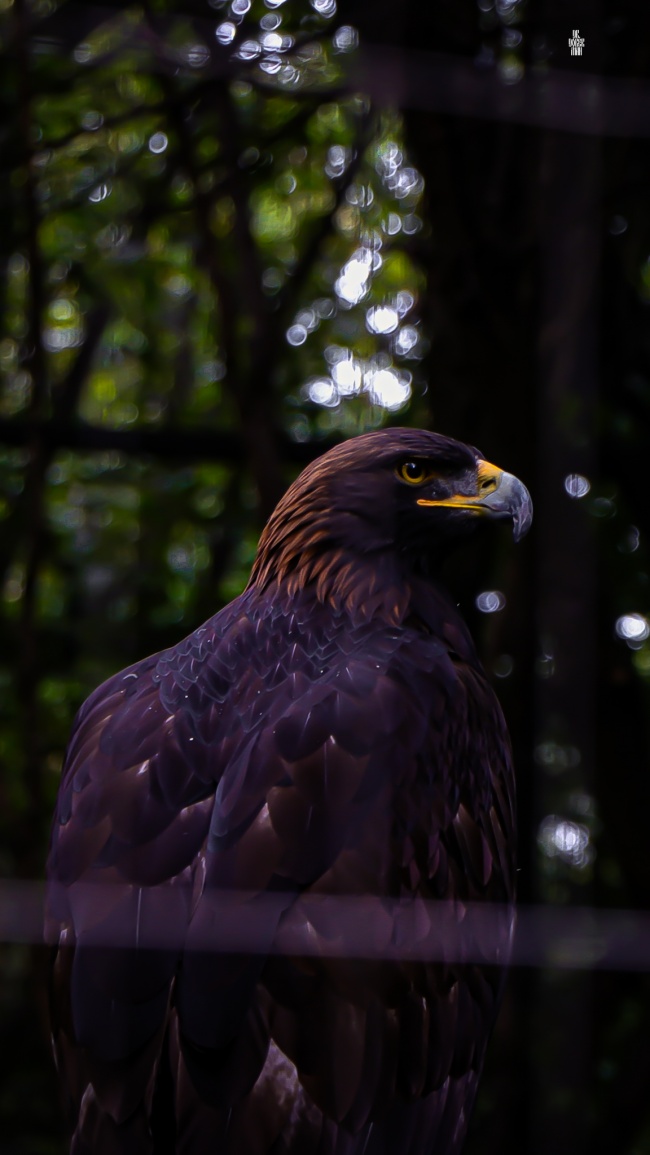foto:Omar Rodrigo Hernández Yáñez   - lo hecho en México