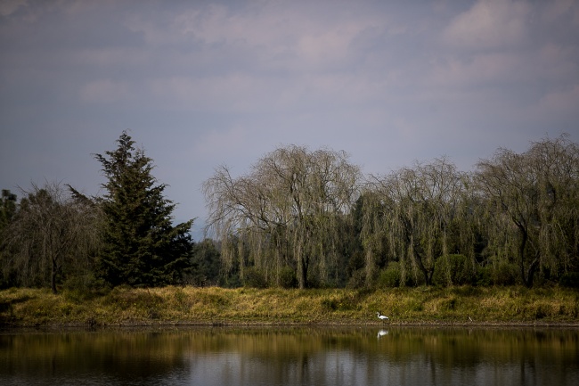 foto:Carlos Alonso Medina García  - lo hecho en México