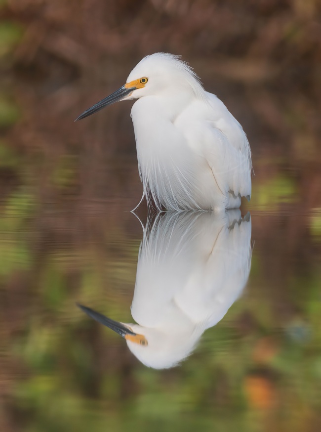 foto:Elvis Guilbardo Jiménez Reyes  - lo hecho en México