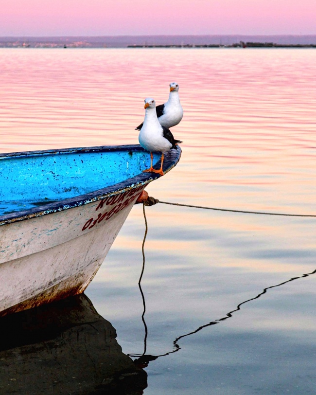 foto:Martin Juan Carlos Cruz Arredondo  - lo hecho en México