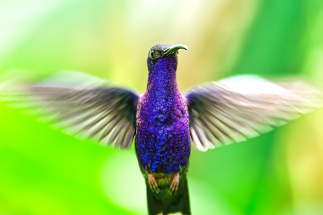 foto:Miguel Angel San Martín Cruz  - lo hecho en México