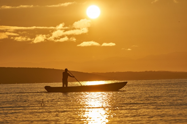 foto:FRANCISCO MANUEL LOPEZ GUILLEN  - lo hecho en México
