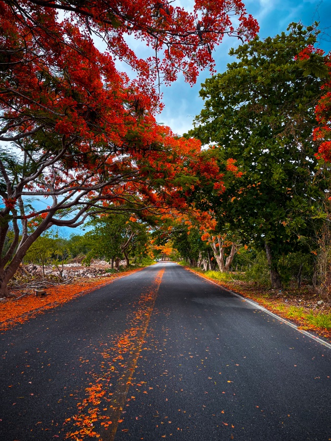 foto:Manuel Francisco Canul Pat  - lo hecho en México