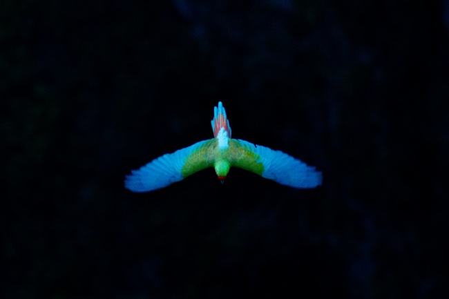 foto:Francisco Emiliano Yáñez Arellano  - lo hecho en México