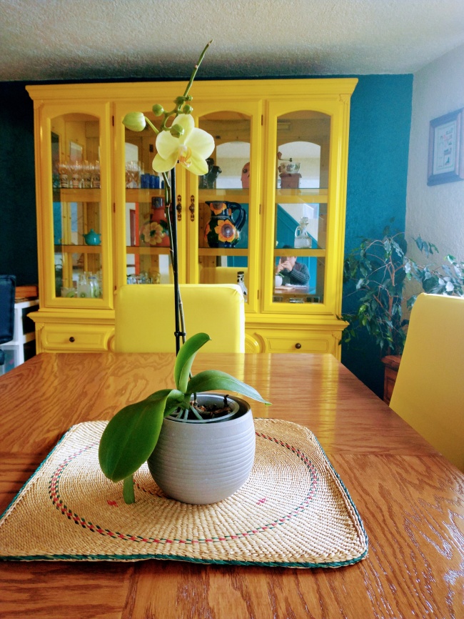 foto:Veneranda Corina López Ybáñez   - lo hecho en México