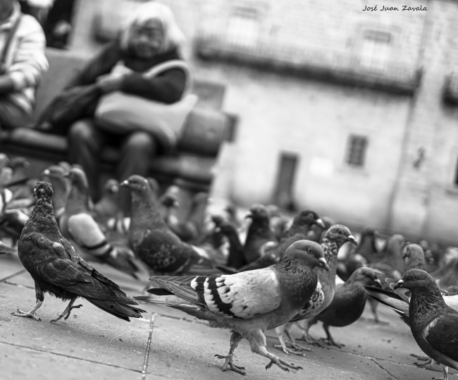 foto:JOSE JUAN ZAVALA - lo hecho en México