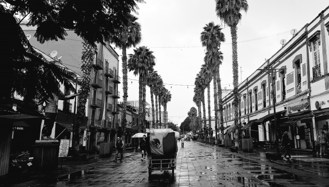 foto:Diego Monroy Chaparro - lo hecho en México