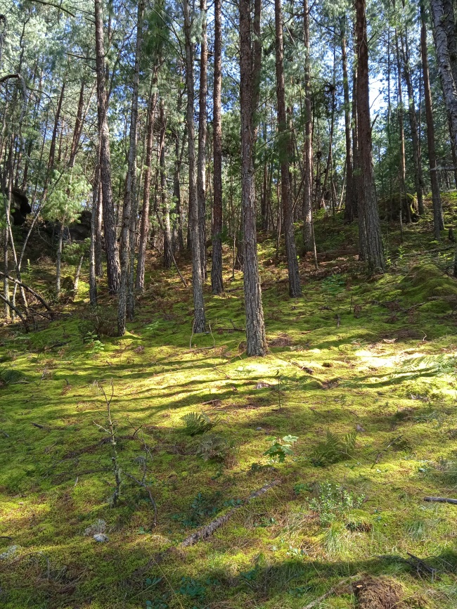 foto:Isadora Chávez Carapia - lo hecho en México