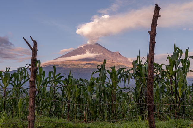 foto:MARIA EUGENIA BORES RANGEL - lo hecho en México
