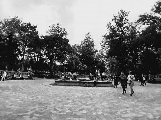 foto:Alessandra Rubi Medina Torres - lo hecho en México