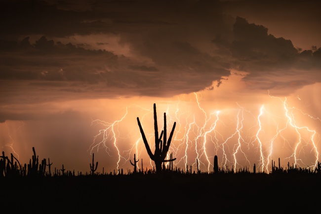 foto:Josue Alfonzo Marquez Navarro - lo hecho en México