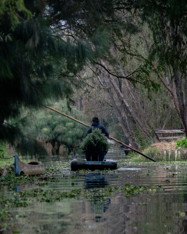 foto:Jose Roberto Espinoza Gamez - lo hecho en México