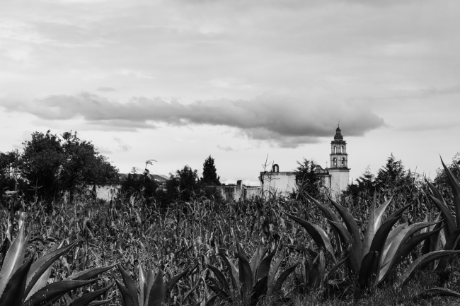 foto:Alejandro Cruz Miguel - lo hecho en México