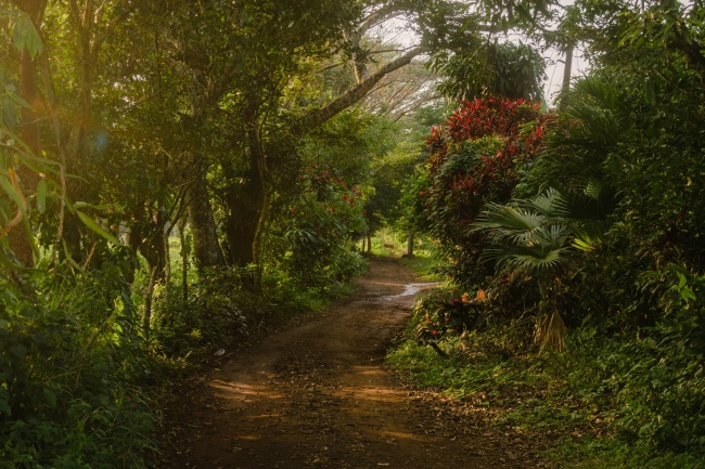 foto:Martin de Jesús Acevedo Hernández  - lo hecho en México
