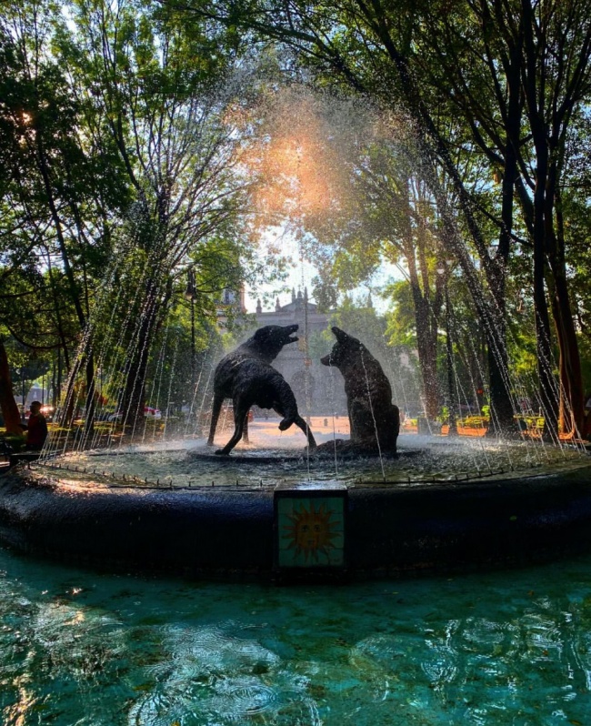 foto:Rémy Coronel Fabbri - lo hecho en México