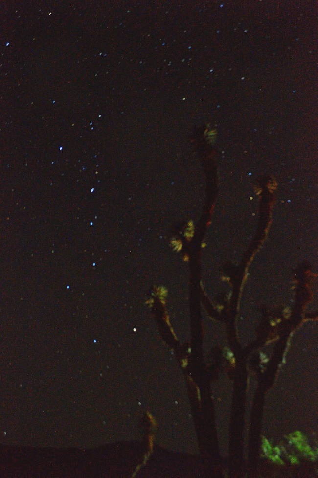 foto:Luis Reyes Loera - lo hecho en México