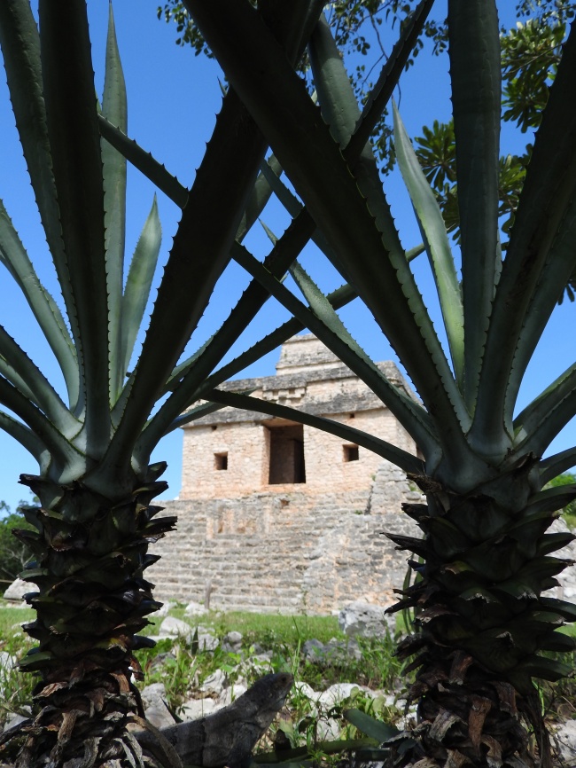 foto:Hugo Jair Segura Alvarado  - lo hecho en México