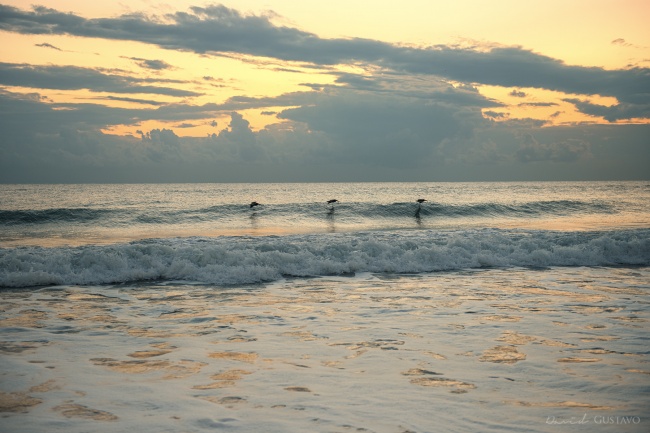 foto:David Gustavo González Reyes - lo hecho en México