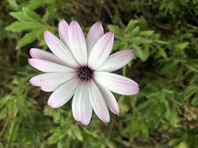 foto:Sofia Libertad Flores Juarez - lo hecho en México