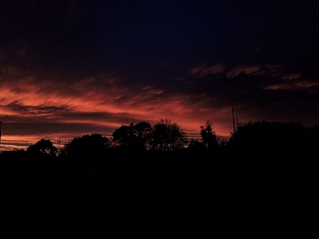 foto:Marlon Hernán Cortes Carrillo - lo hecho en México
