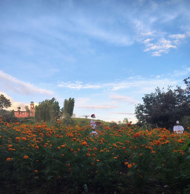 foto:violeta flores - lo hecho en México